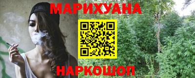 сатива Кинель