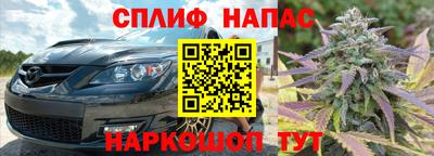 сатива Кинель
