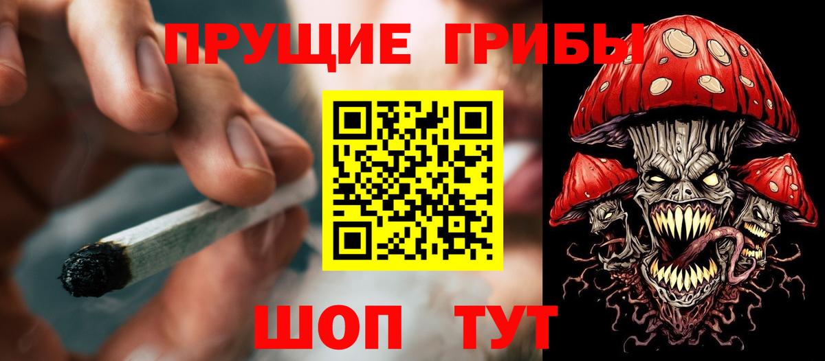 Псилоцибиновые грибы Psilocybine cubensis  Вход с VPN  Коммунар  Псилоцибиновые грибы мухоморы 